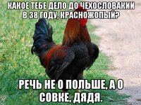 какое тебе дело до чехословакии в 38 году, красножопый? речь не о польше, а о совке, дядя.