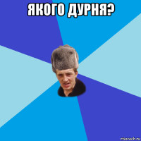 якого дурня? 