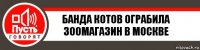 Банда котов ограбила зоомагазин в москве