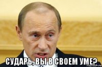  сударь, вы в своем уме?