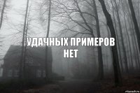 УДАЧНЫХ ПРИМЕРОВ
НЕТ