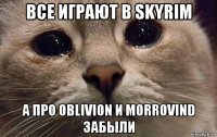 все играют в skyrim а про oblivion и morrovind забыли