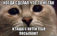 когда сделал что-то не так и таша с котей тебя посылают