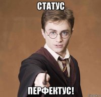 статус перфектус!