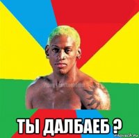  ты далбаеб ?