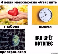 как срёт котопёс