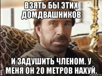 взять бы этих домдвашников и задушить членом. у меня он 20 метров нахуй.