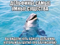 дельфины-самые умные существа вы видели хоть одного дельфина, который бы шутил про бахчисарай?