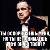 Ты оскорбляешь меня, но ты не понимаешь что я знаю твой IP