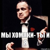 мы хомяки- ты и я