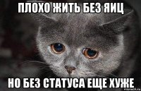 плохо жить без яиц но без статуса еще хуже