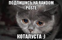 подпишись на random poste коталуста :)