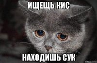 ищещь кис находишь сук