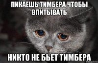 пикаешь тимбера чтобы впитывать никто не бьет тимбера