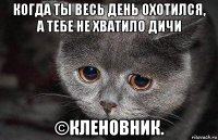 когда ты весь день охотился, а тебе не хватило дичи ©кленовник.