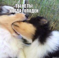 ты не ты когда голоден