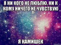 я ни кого не люблю, ни к кому ничего не чувствую я камишек