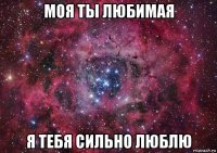 моя ты любимая я тебя сильно люблю