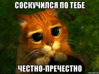 соскучился по тебе честно-пречестно