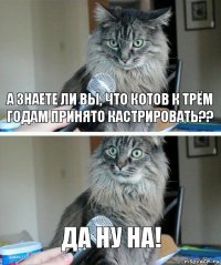 А знаете ли вы, что котов к трём годам принято кастрировать?? да ну на!