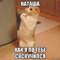 наташа как я по тебе соскучился