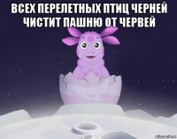 всех перелетных птиц черней чистит пашню от червей 