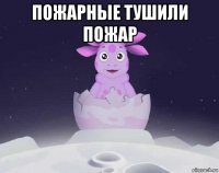 пожарные тушили пожар 