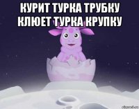 курит турка трубку клюет турка крупку 