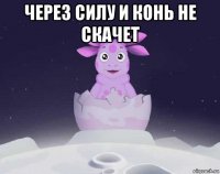 через силу и конь не скачет 