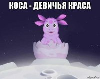 коса - девичья краса 