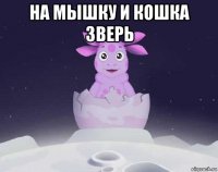 на мышку и кошка зверь 