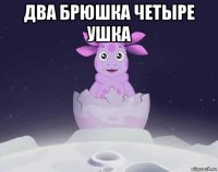 два брюшка четыре ушка 