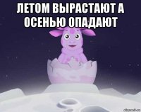 летом вырастают а осенью опадают 