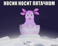 носик носит пятачком 