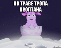 по траве тропа проптана 