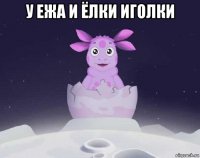 у ежа и ёлки иголки 