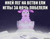 иней лег на ветви ели иглы за ночь побелели 