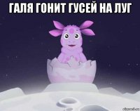 галя гонит гусей на луг 