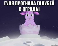 гуля прогнала голубей с ограды 