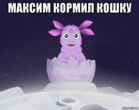 максим кормил кошку 