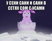 у сени сани и сани в сетях сом с усами 