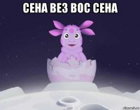 сена вез вос сена 