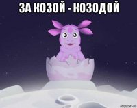 за козой - козодой 