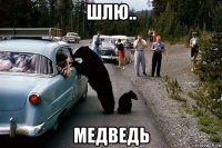 шлю.. медведь