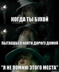 Когда ты бухой пытаешься найти дорогу домой "Я не помню этого места"