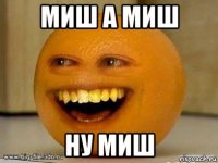 миш а миш ну миш