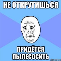 не открутишься придётся пылесосить