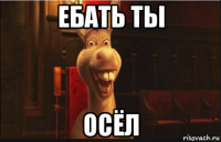 ебать ты осёл