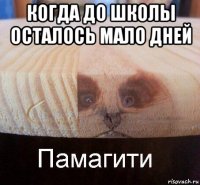 когда до школы осталось мало дней 