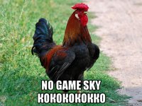  no game sky кококококко